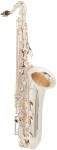 Bacio Instruments BTS-100SG