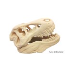 Tisková struna filament 1.75 PLA béžová kg