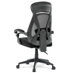 Kancelářská židle, houpací mechanismus, černá síťovina, KA-Y309 BK