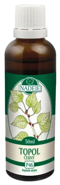 Topol černý (P46)