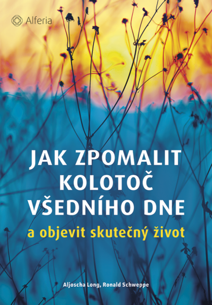 Jak zpomalit kolotoč všedního dne - Ronald P. Schweppe, Aljoscha Long