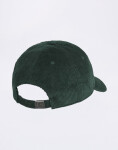 Carhartt WIP Harlem Cap Kale Green/White