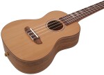 Ortega RUTI-CC
