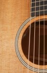 Taylor Gold Label 510e
