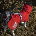 Pláštěnka Monsoon Coat ECO šípková, Hurtta Velikost: 65