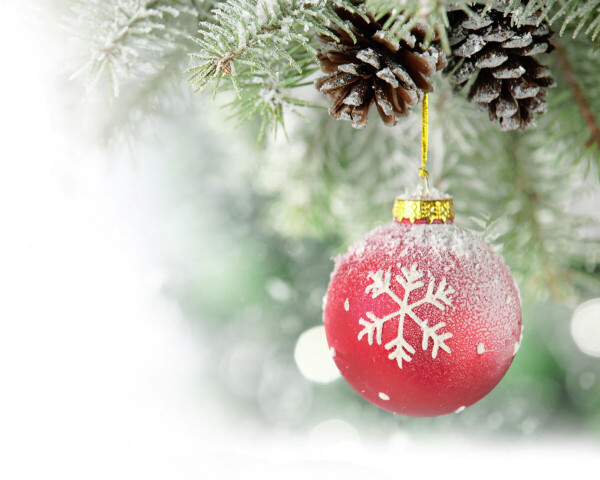 Člověk a čas - Pacovský Petr