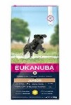 Eukanuba Dog Junior Large & Giant 15kg