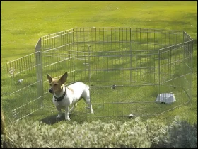 SAVIC Ohrádka Dog Park 2 / Pro psy a hlodavce / 8 dílů / výška 91 cm / šířka dílu 61 cm (114-3287)