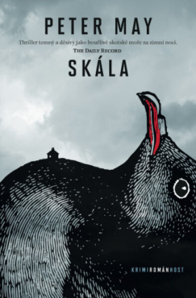 Skála - Peter May - e-kniha