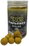 Starbaits Boilie Pro Ginger Squid Hard Boilies 200g - 20mm,Starbaits Boilie Pro Ginger Squid Hard Boilies 200g - 20mm