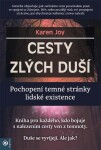 Cesty zlých duší - Pochopení temné stránky lidské existence - Karen Joy