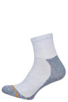 Pánské ponožky ACTIVE 0224.008 šedá 41-43