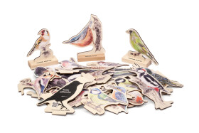 Spoznávaj vtáky SK