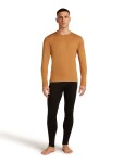 Pánské merino tričko s dlouhým rukávem ICEBREAKER Mens 260 Tech LS Crewe, Trail velikost: XL