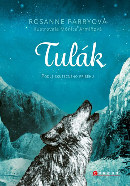 Tulák - Rosanne Parryová