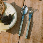 SABRE PARIS 4-dílná sada příborů Bistrot Brillant – Asparagus, zelená barva, kov, plast