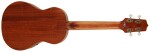 Takamine EGU-T1