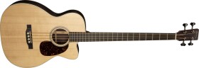 Martin BC16E