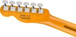 Fender Susan Tedeschi Telecaster RW ACM