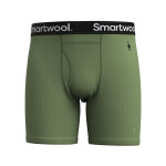 Pánské merino boxerky SMARTWOOL Men's Merino Boxer Brief Boxed, Fern Green velikost: XL