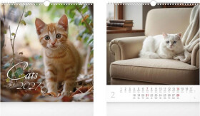 Kalendář 2027 nástěnný malý Cats