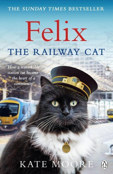 Felix the Railway Cat