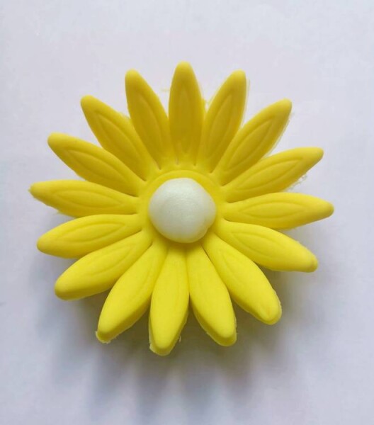 Dortisimo Cukrová sedmikráska velká žlutá (9 ks)