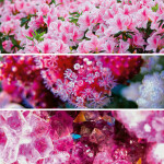 Nástěnný poznámkový kalendář 2026 NOTIQUE - Paleta, 30 x 30 cm