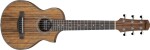 Ibanez EWP14 Natural