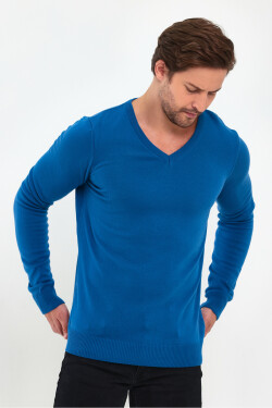 Lafaba Men's Blue V-Neck Basic Knitwear Sweater