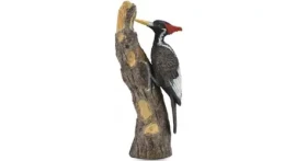 Collecta Datel knížecí