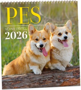 Nástěnný kalendář ARIA 2026 - Pes - věrný přítel