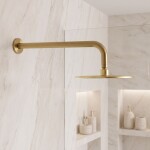 REA - Kulaté sprchové rameno JS-9021 40cm Brush gold REA-P6850