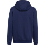 Entrada 22 Hoody Jr H57517 Adidas