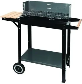 Master Grill MG909