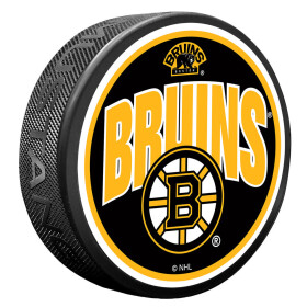 Mustang Puk Boston Bruins NHL Wordmark