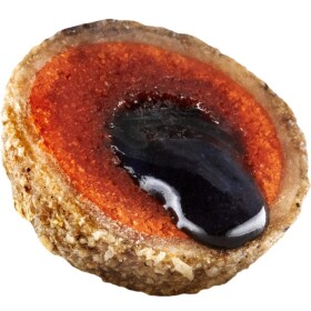 LK Baits Nutrigo Plankton,LK Baits Nutrigo Plankton