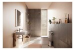 HANSGROHE - EluPura Original S WC kombi se sedátkem SoftClose, vario odpad, AquaChannel Flush, Rimless, bílá 60346450