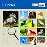 Nástěnný poznámkový kalendář 2026 Helma - Horses