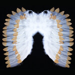 Andělská křídla s peřím, bílo-zlatá