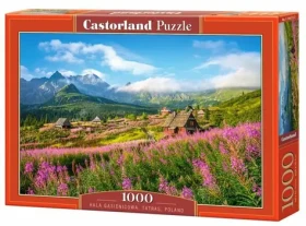 Castorland 104512 Dolina Gąsienicowa, Tatry