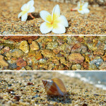 Nástěnný poznámkový kalendář 2026 NOTIQUE - Paleta, 30 x 30 cm - BEZ ČEŠTINY