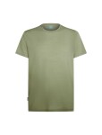 ICEBREAKER Mens Mer 125 Cool-Lite Sphere SS Tee Alta, Lichen velikost: XL