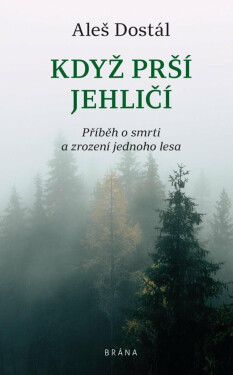 Když prší jehličí (poškozené) - Aleš Dostál
