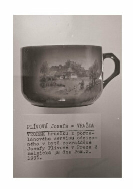 Ne každá zrůda je vrah - Josef Lottes, Ivo Michalík