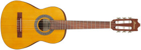 Ibanez GA Classical Guitar 6-String 1/2 Body - Open Pore Amber