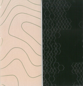 Obálka na peníze - Bronislav Kuba