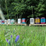 Včelařství Domovina Ovocné mámení devítka - dárkové balení