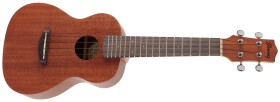 Ibanez UKC100 Natural