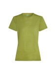 Dámské merino tričko s krátkým rukávem ICEBREAKER Wmns 125 Cool-Lite Speed SS Tee, Olive velikost: L